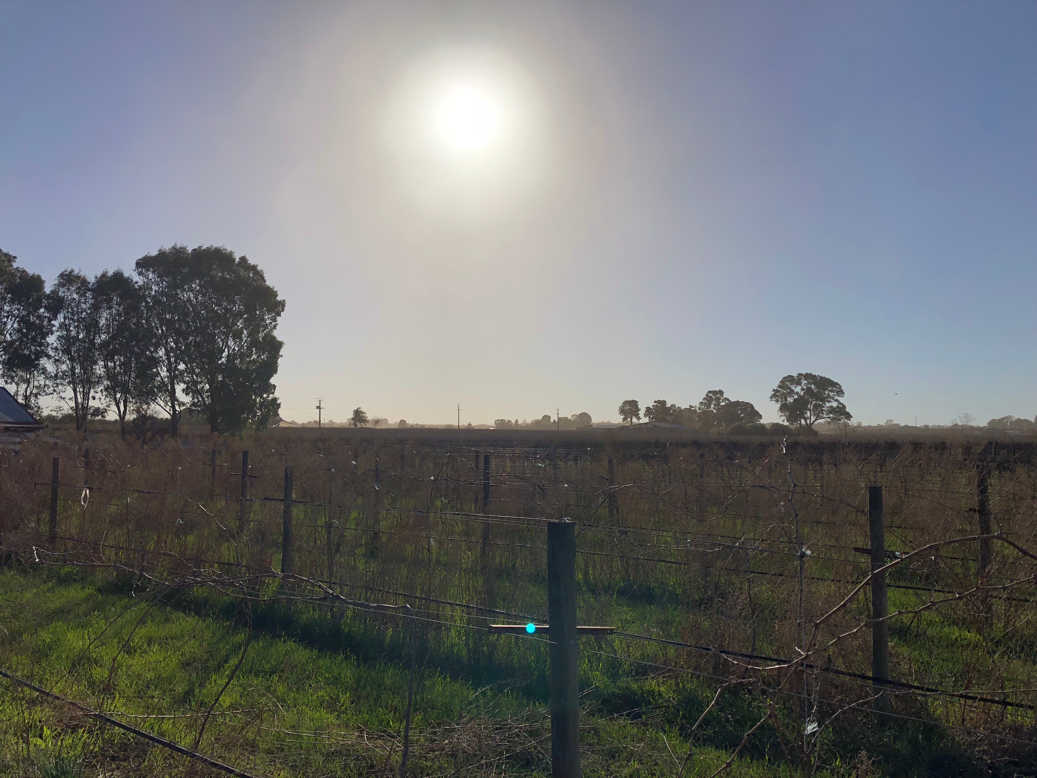 Digging deep for drought relief