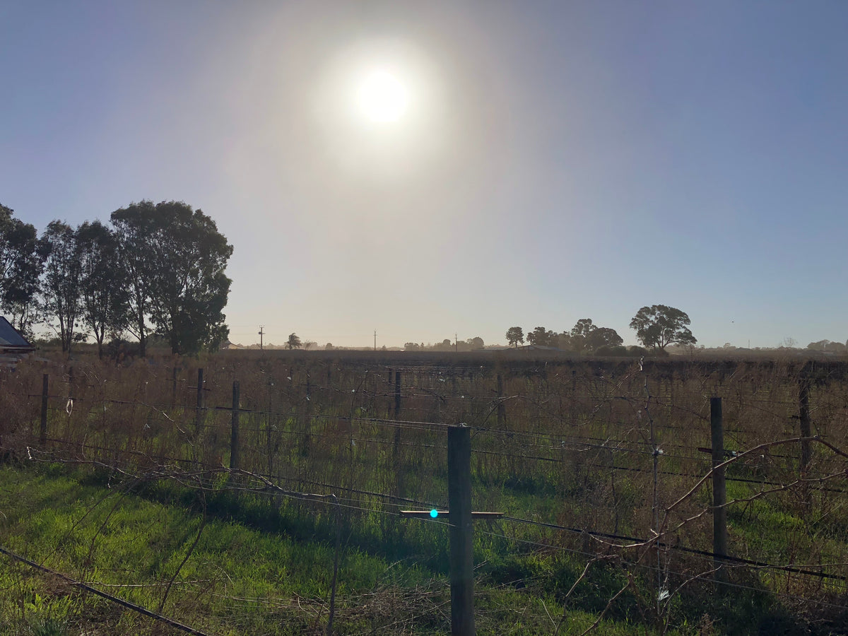 Digging deep for drought relief