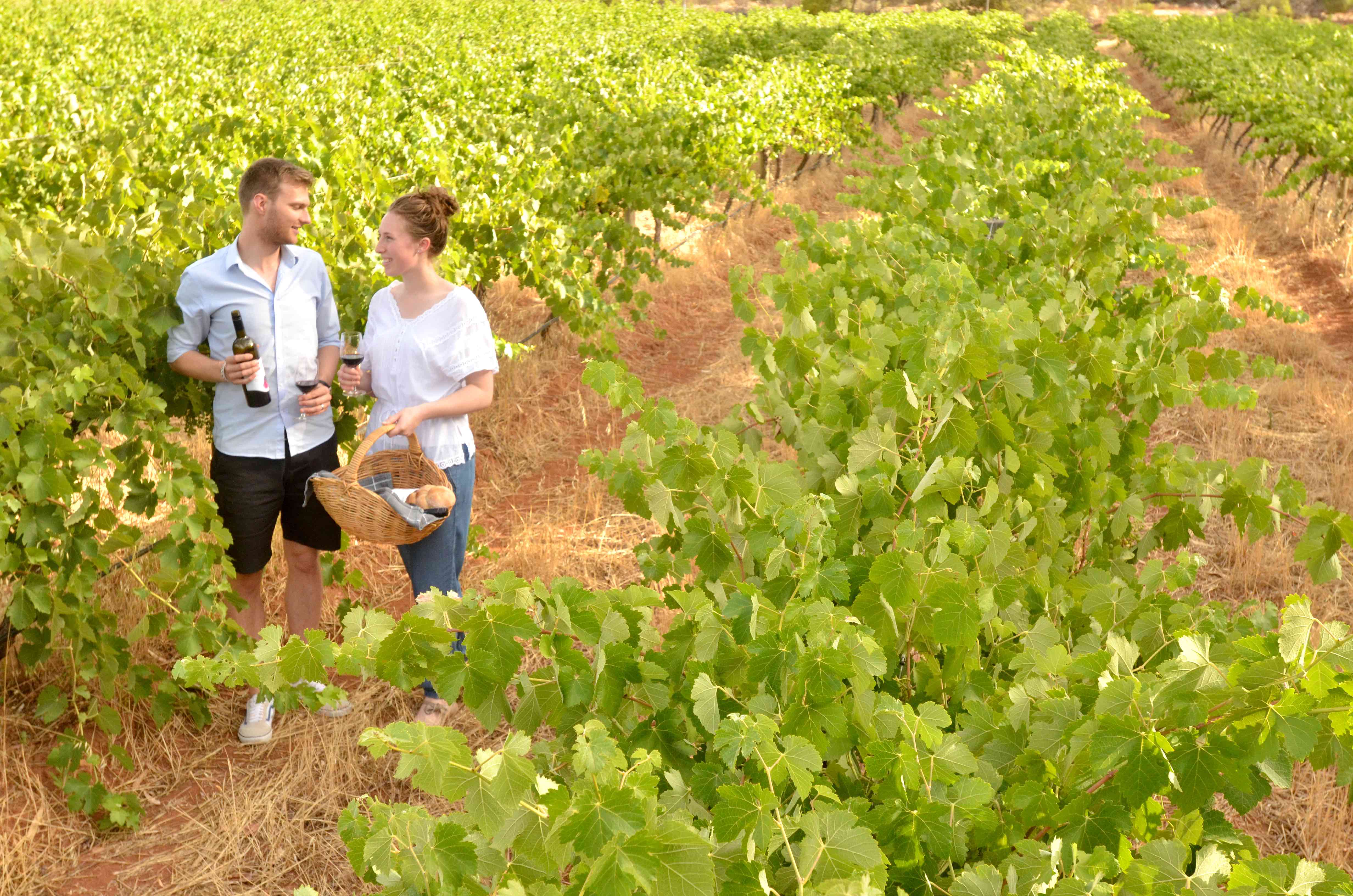 It's easy being green