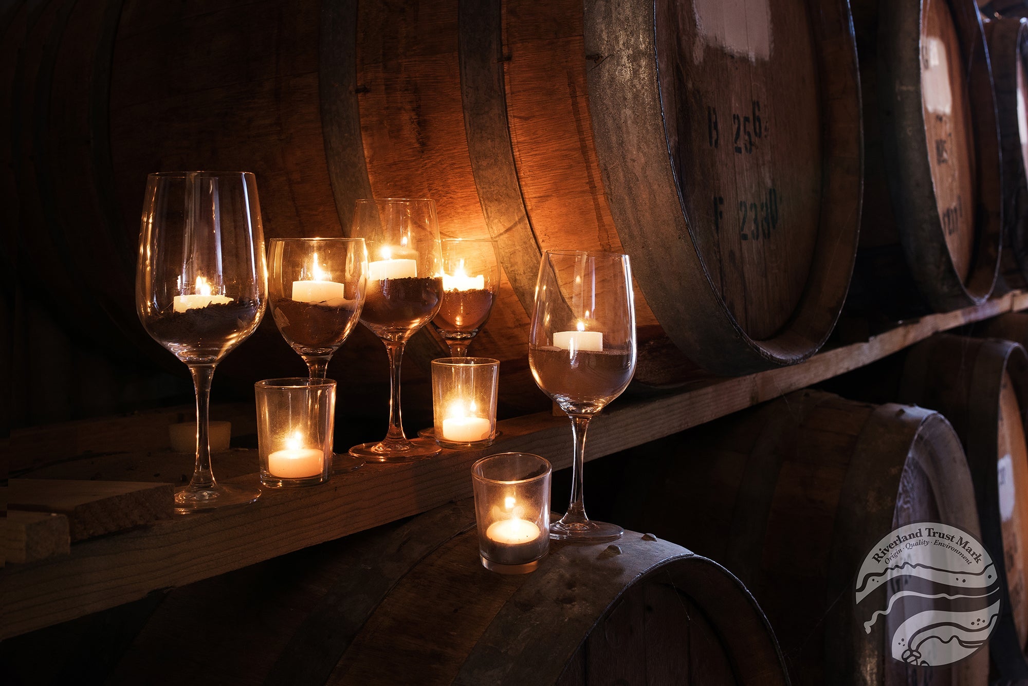 All wines